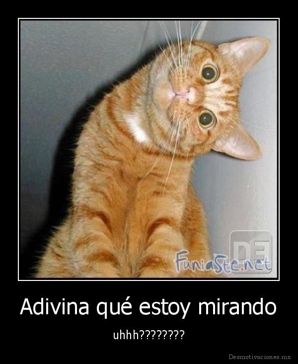 Adivina qué estoy mirando