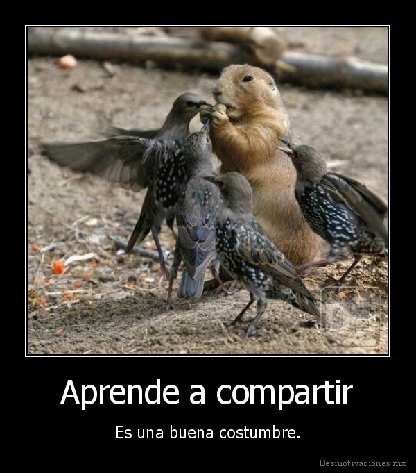 Aprende a compartir