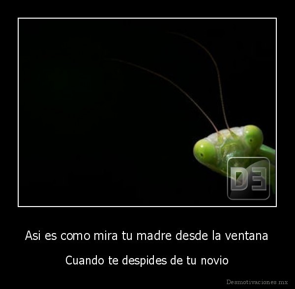 Asi es como mira tu madre desde la ventana