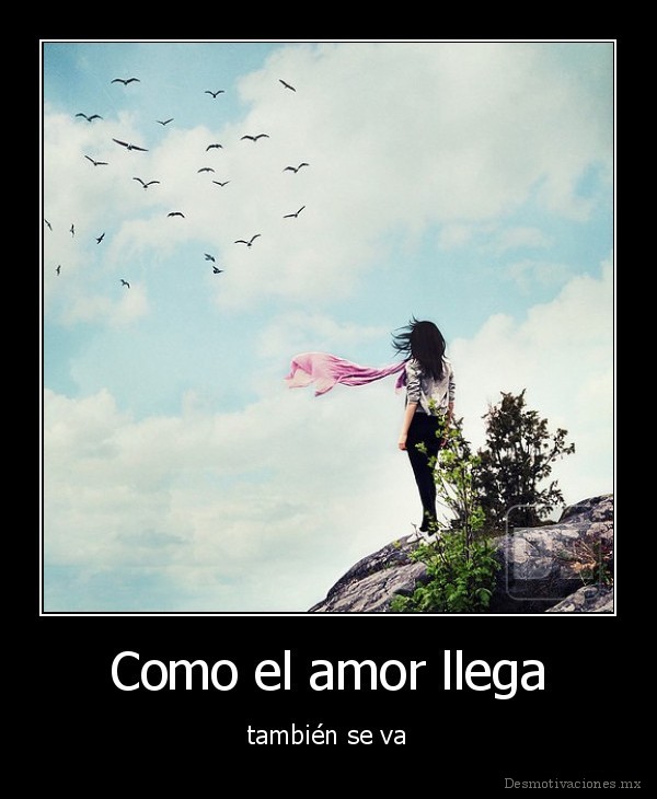 Como el amor llega