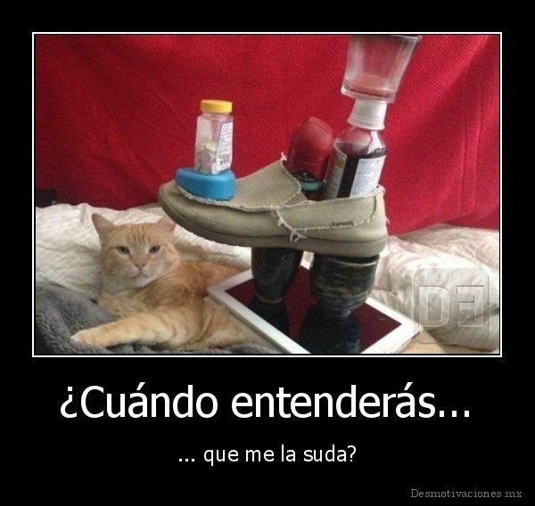 ¿Cuándo entenderás...
