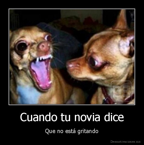 Cuando tu novia dice