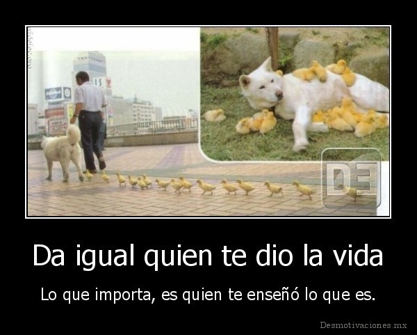 Da igual quien te dio la vida