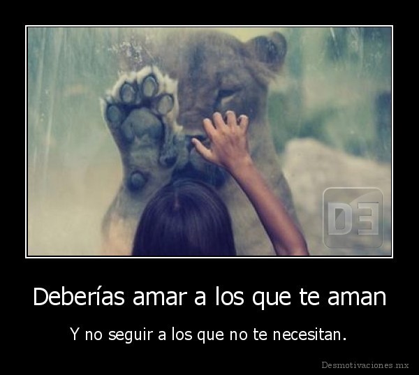 Deberías amar a los que te aman