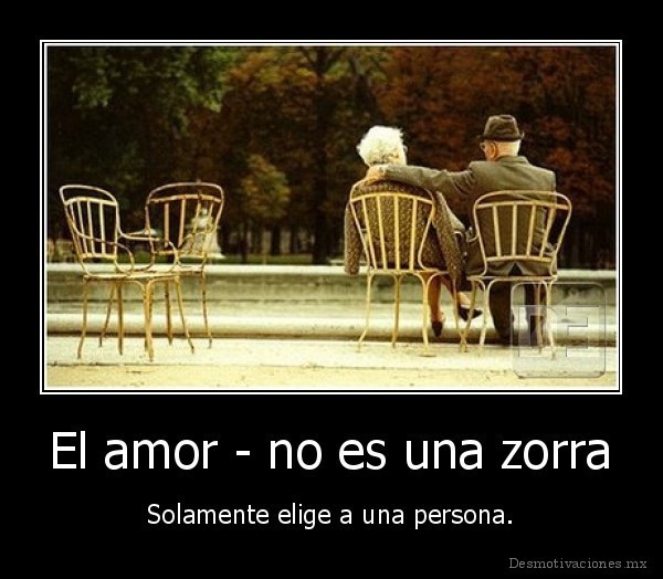 El amor - no es una zorra