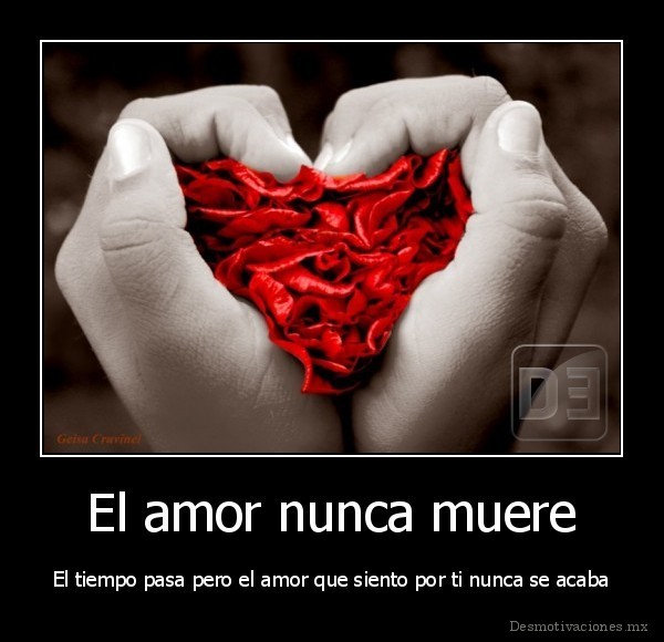 El amor nunca muere