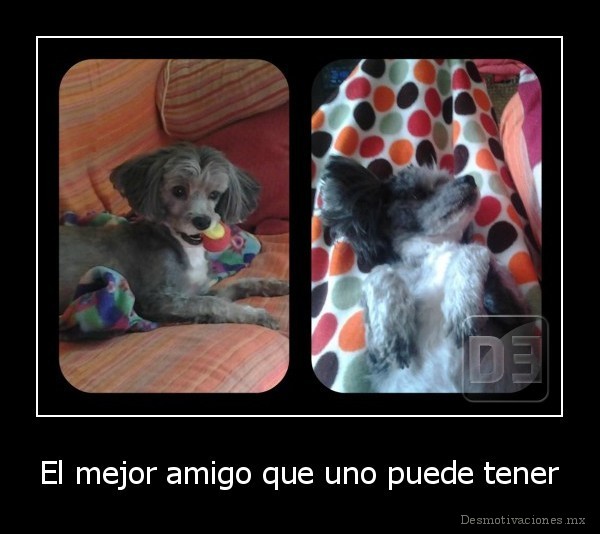 El mejor amigo que uno puede tener