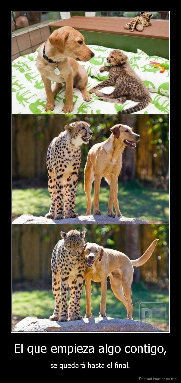 El que empieza algo contigo,