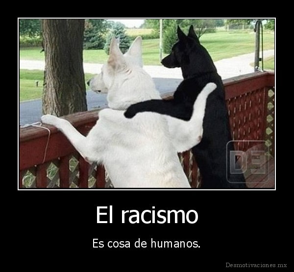 El racismo