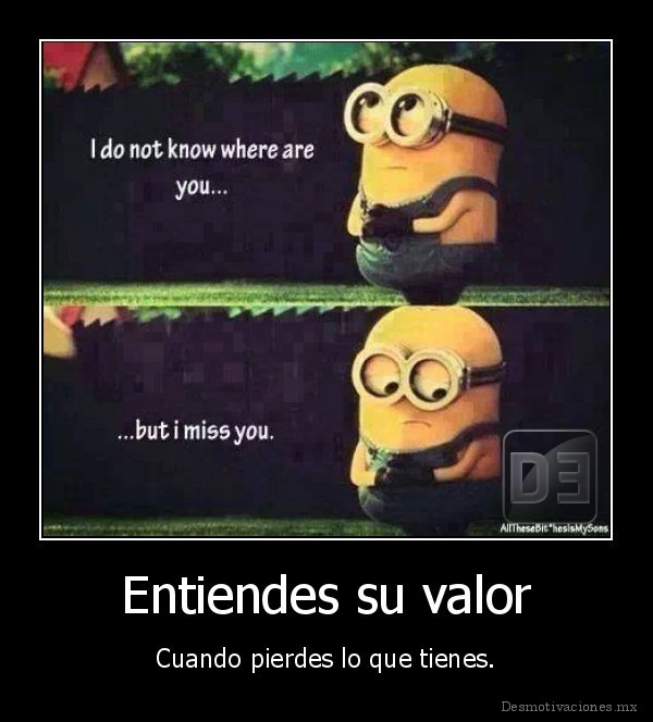 Entiendes su valor