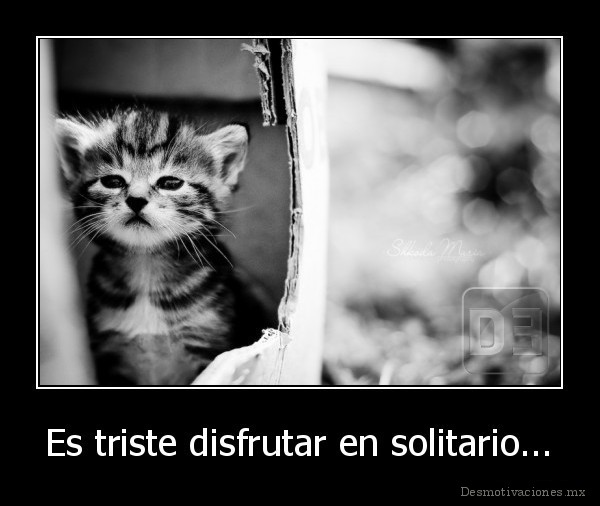 Es triste disfrutar en solitario...