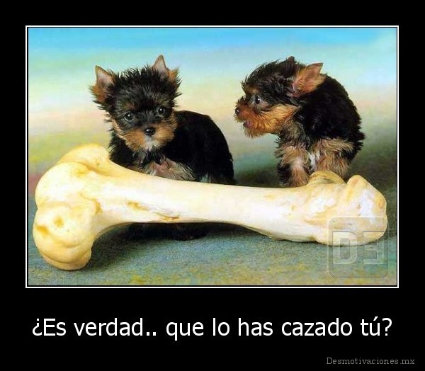 ¿Es verdad.. que lo has cazado tú?
