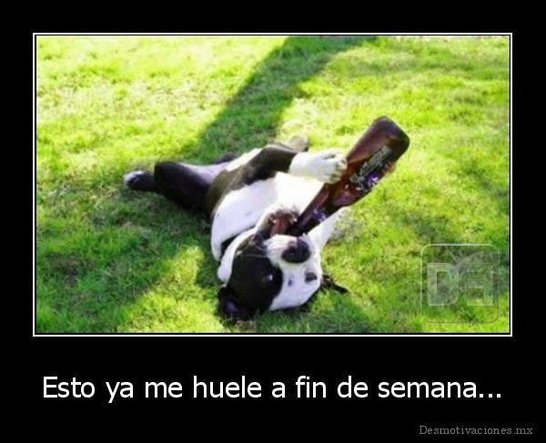 Esto ya me huele a fin de semana...