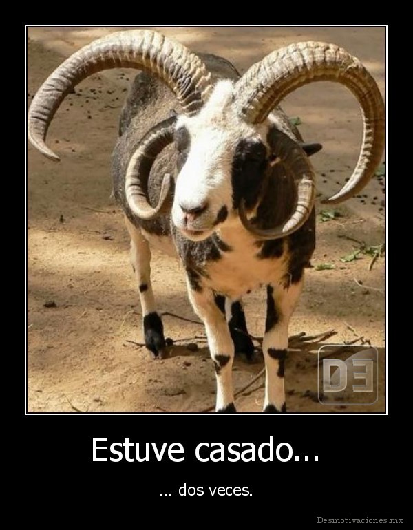 Estuve casado...