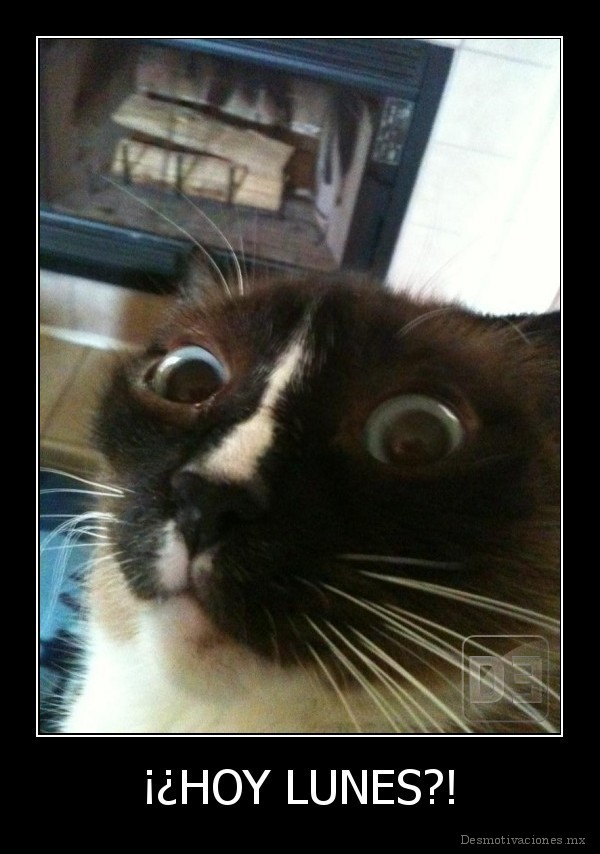 ¡¿HOY LUNES?!