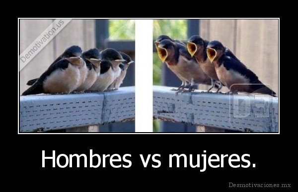 Hombres vs mujeres.