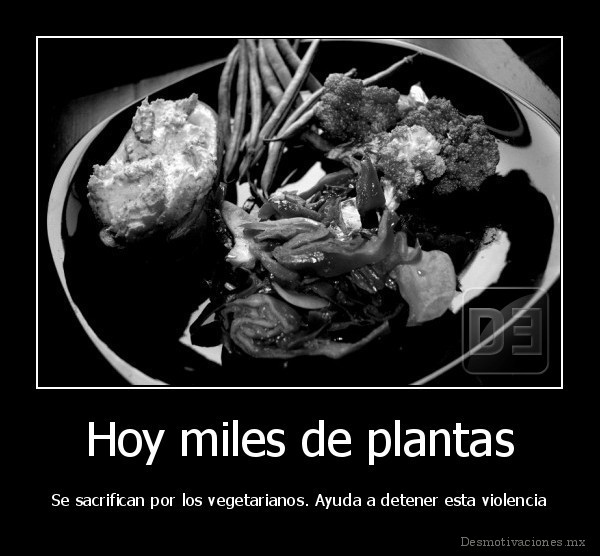 Hoy miles de plantas