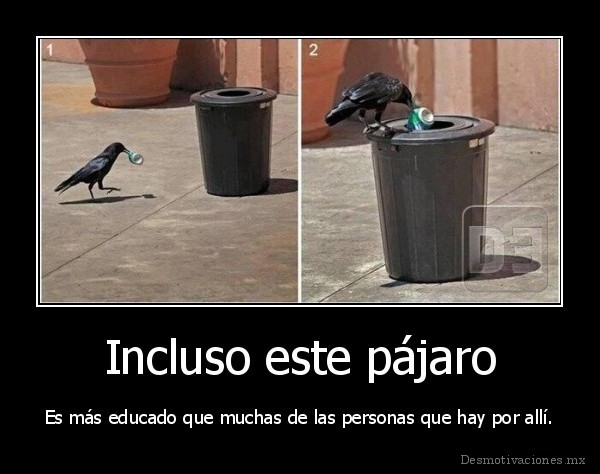 Incluso este pájaro