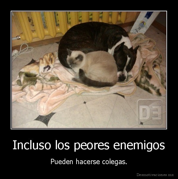 Incluso los peores enemigos
