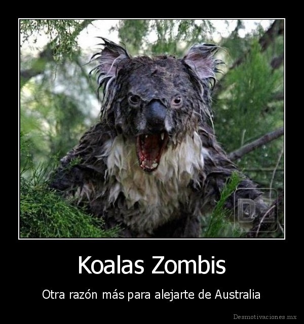 Koalas Zombis