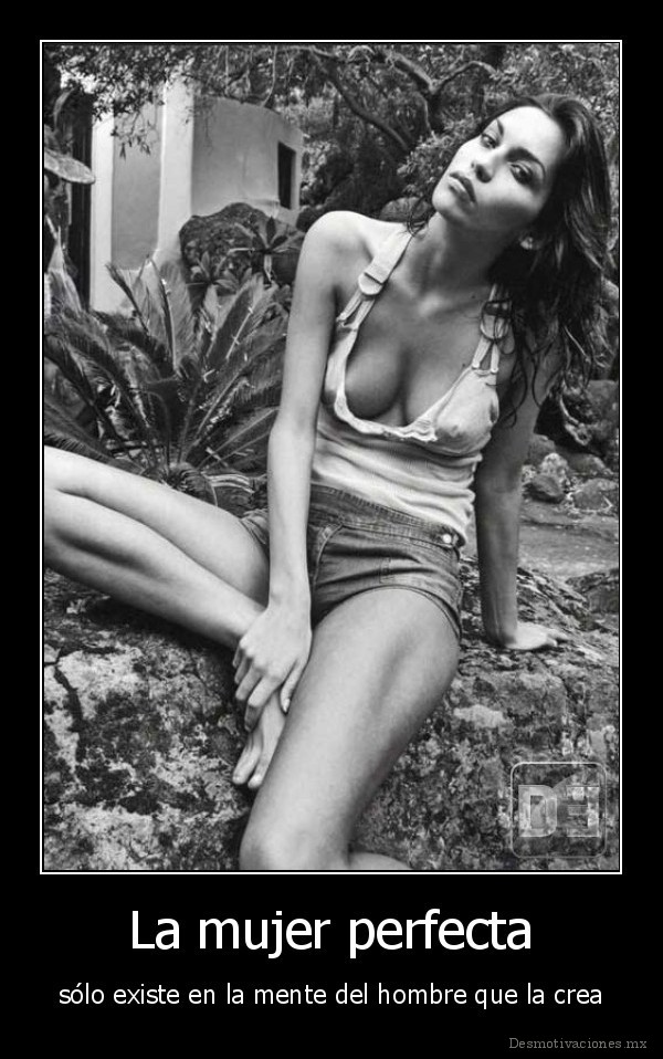 La mujer perfecta