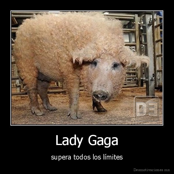 Lady Gaga