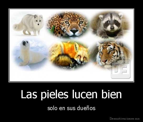 Las pieles lucen bien