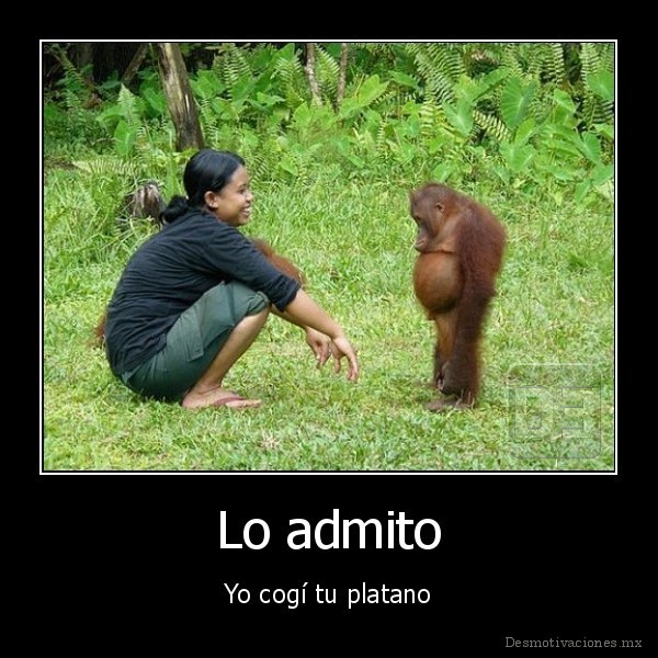 Lo admito