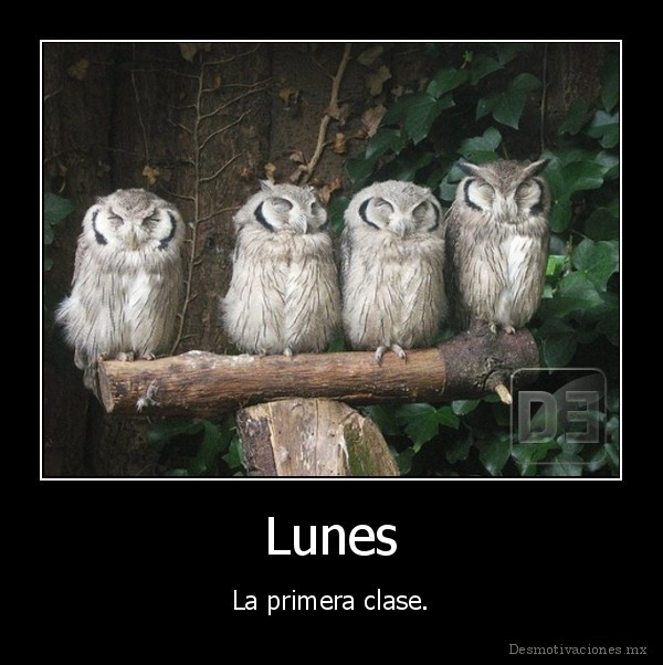Lunes