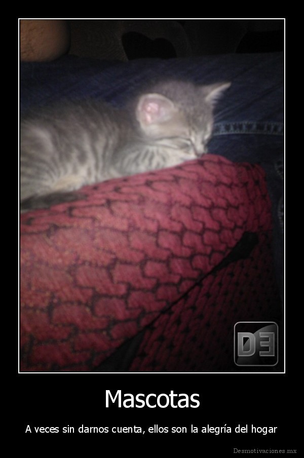 Mascotas