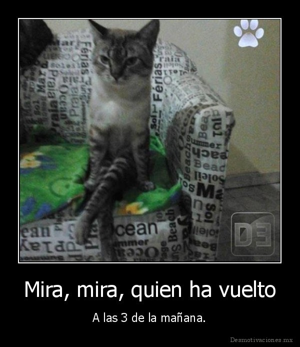 Mira, mira, quien ha vuelto