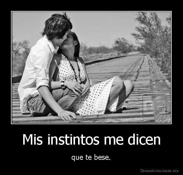 Mis instintos me dicen