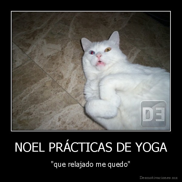 NOEL PRÁCTICAS DE YOGA