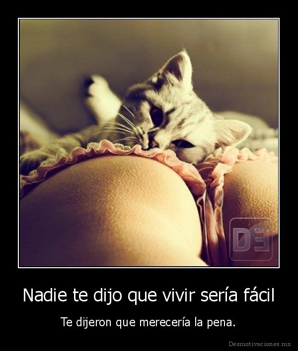 Nadie te dijo que vivir sería fácil