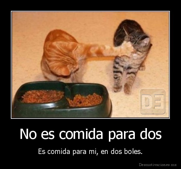 No es comida para dos