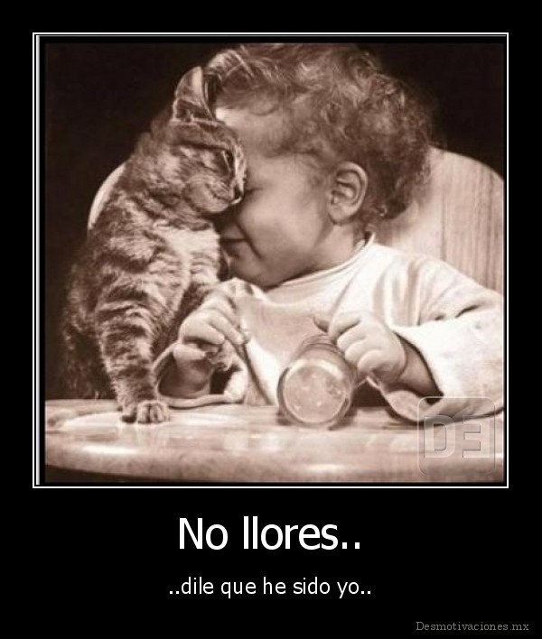 No llores..
