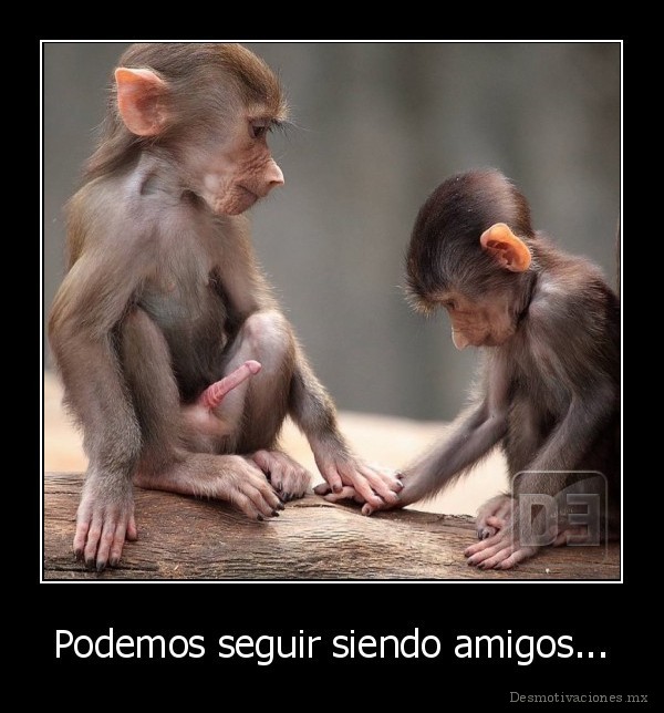 Podemos seguir siendo amigos...