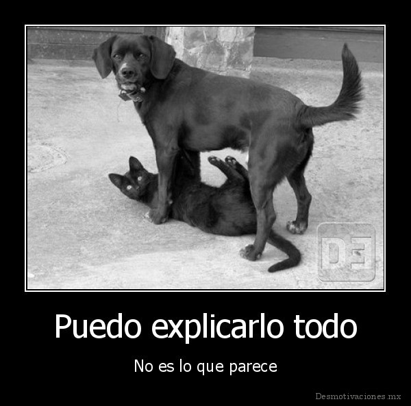 Puedo explicarlo todo
