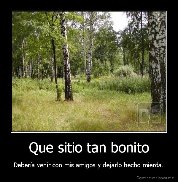 Que sitio tan bonito
