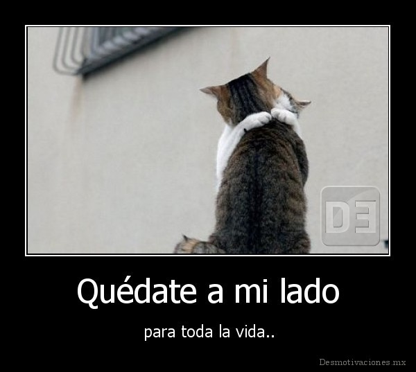 Quédate a mi lado