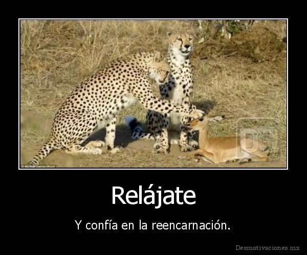 Relájate