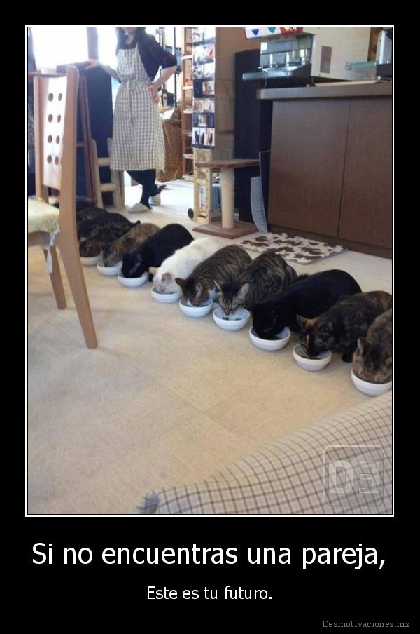 Si no encuentras una pareja,
