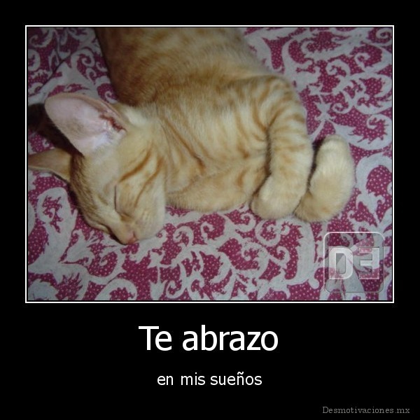 Te abrazo
