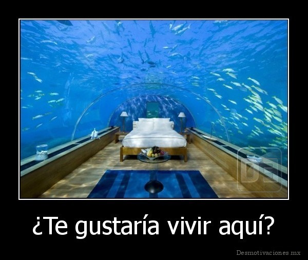 ¿Te gustaría vivir aquí?