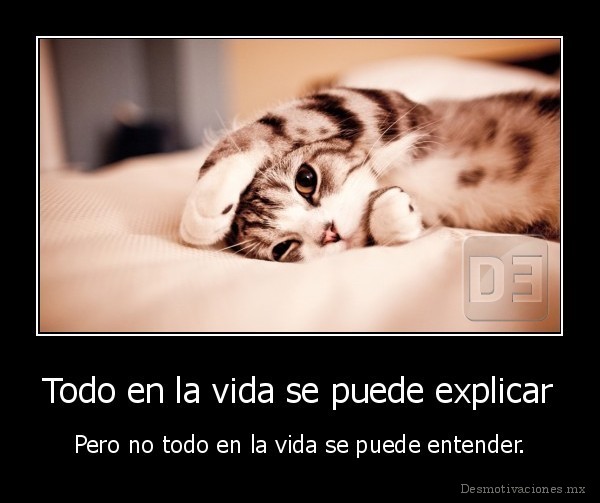 Todo en la vida se puede explicar