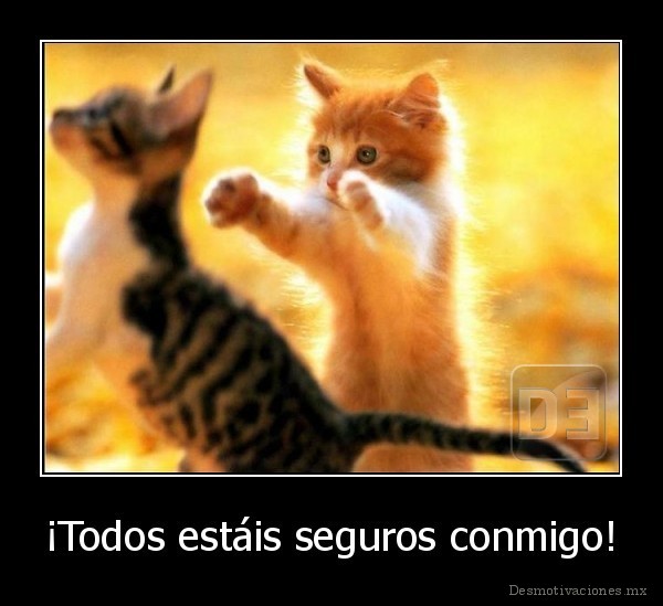 ¡Todos estáis seguros conmigo!