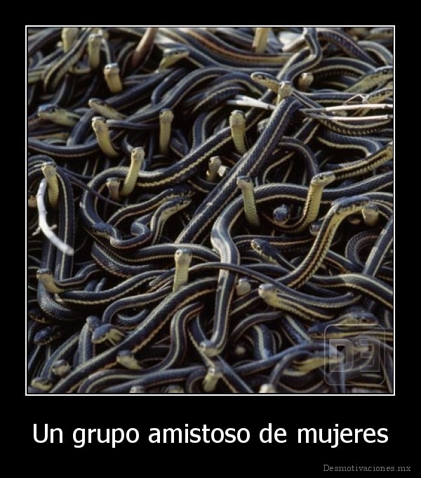 Un grupo amistoso de mujeres