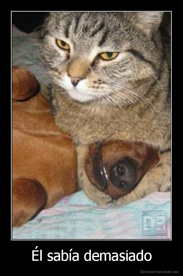 Él sabía demasiado