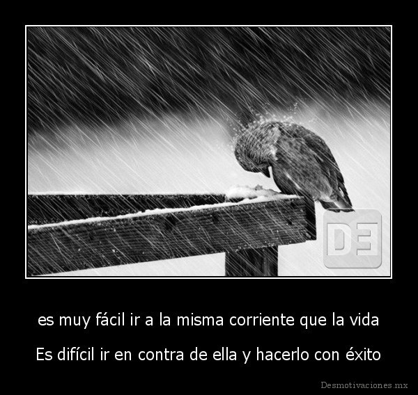 es muy fácil ir a la misma corriente que la vida