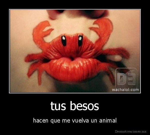 tus besos